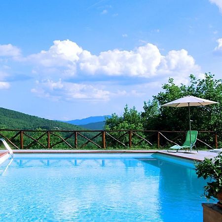 Agriturismo Badia Ficarolo Palazzo del Pero Luaran gambar